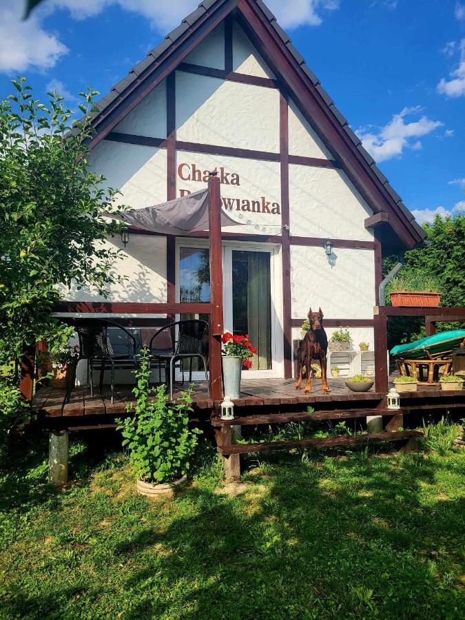 Chatka Bukowianka W Bukowcu Kolo Karpacza Bukowiec  Exterior foto