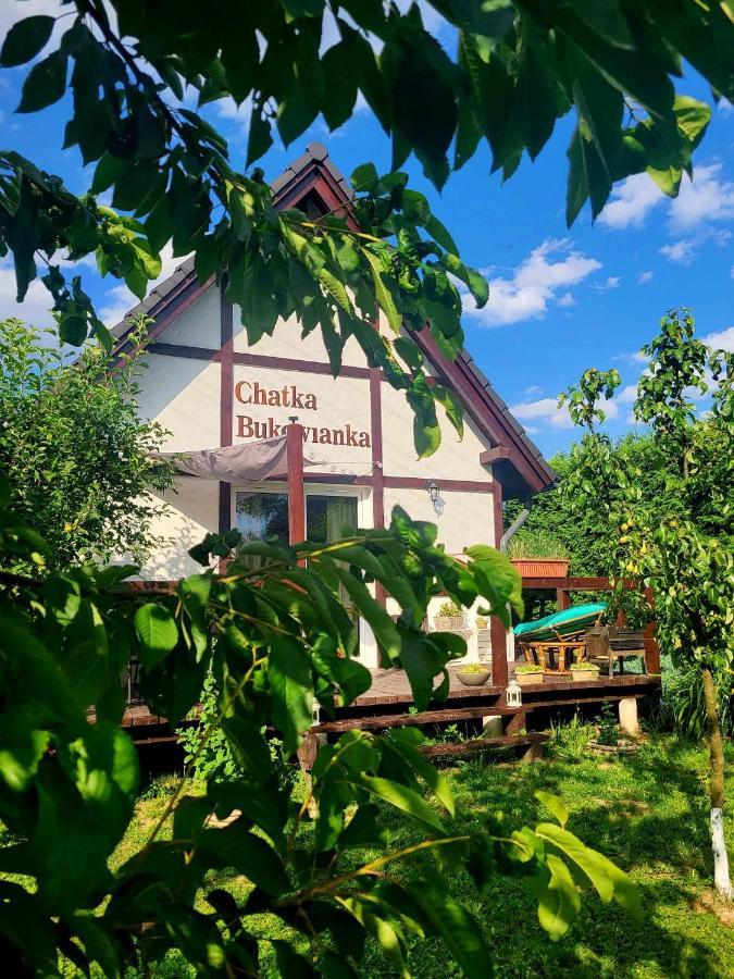 Chatka Bukowianka W Bukowcu Kolo Karpacza Bukowiec  Exterior foto